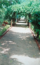 The way to the Gundicha Mandir site